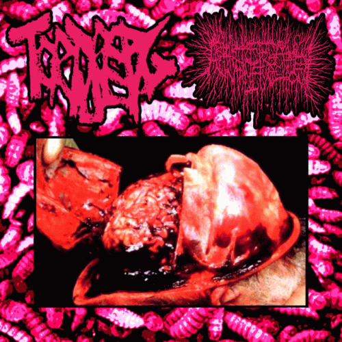 Torture Pig : Torture Pig - AxTxMx Torture Pig : Torture Pig - AxTxMx